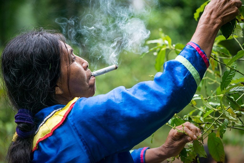 how many people are employed by the tobacco industry Key Trends in the U.S. Tobacco Industry
