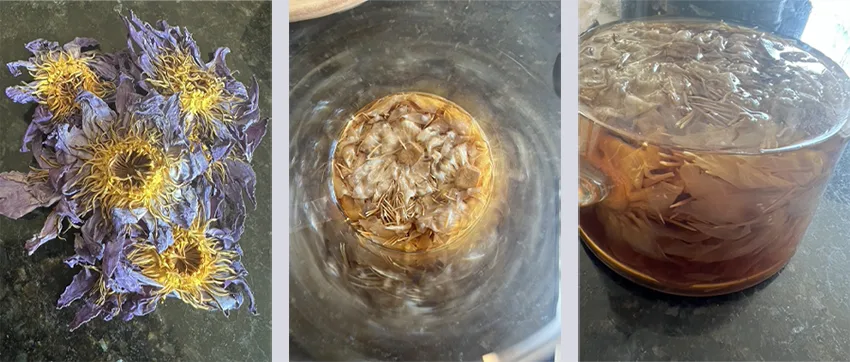 How To Make Blue Lotus Tincture | DoubleBlind Mag
