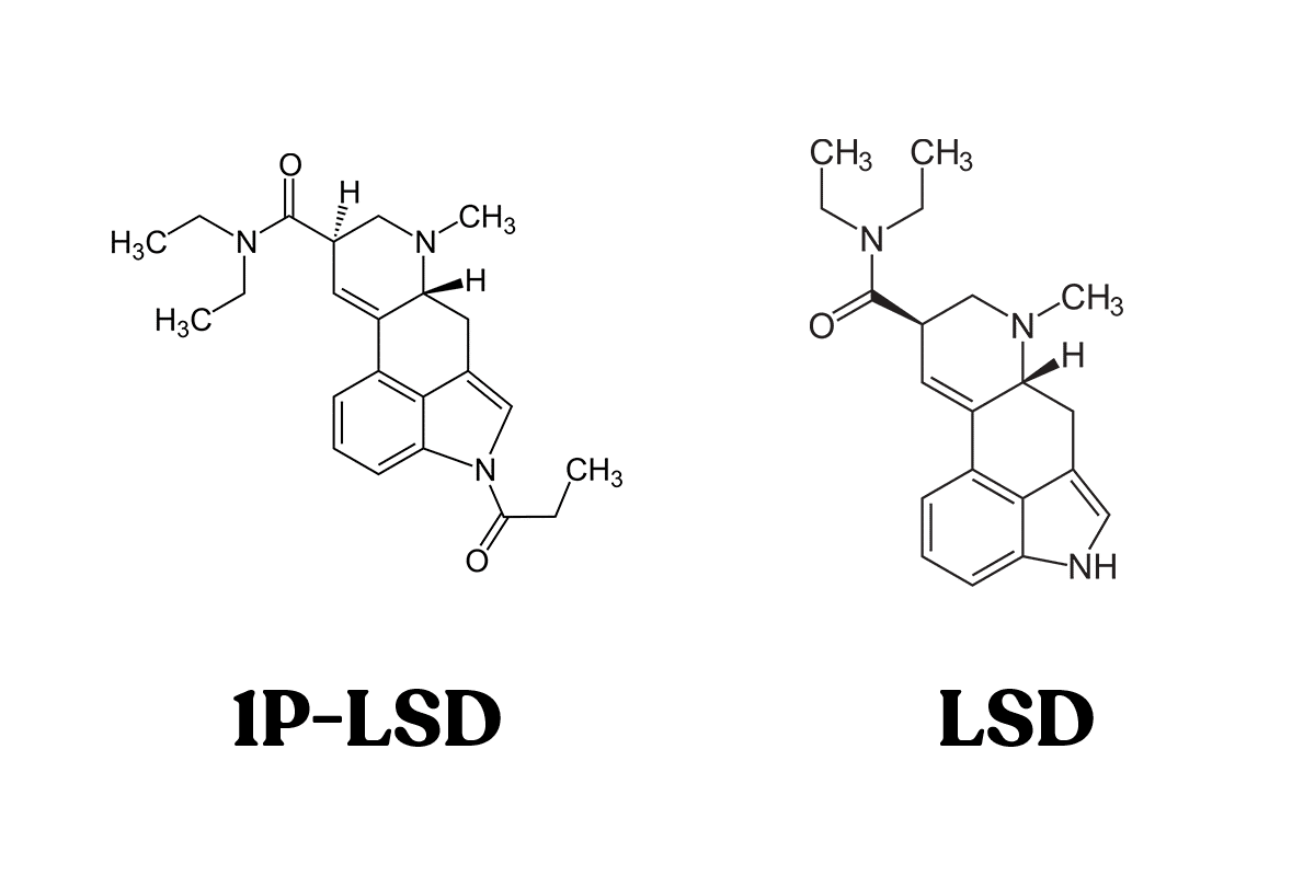 1P-LSD structure vs. LSD structure